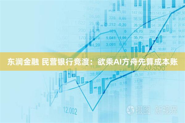 东润金融 民营银行竞渡：欲乘AI方舟先算成本账