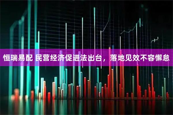 恒瑞易配 民营经济促进法出台，落地见效不容懈怠