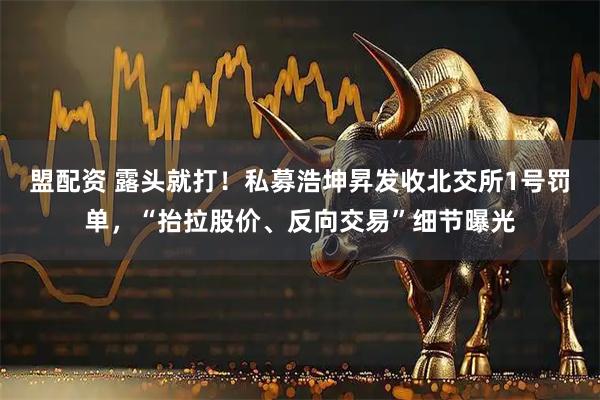 盟配资 露头就打！私募浩坤昇发收北交所1号罚单，“抬拉股价、反向交易”细节曝光